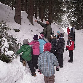 Spurensuche im Schnee