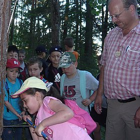 Waldprojekt in Schwaz