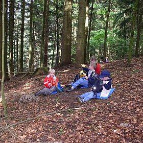 Den Wald mit allen Sinnen erleben...