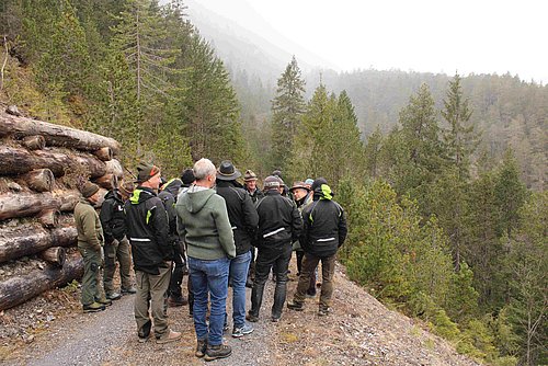 Besonderer Bergkiefernwald Afrigal