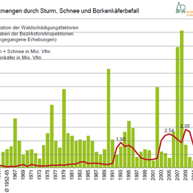 Borkenkäfer: Spitzenwert für 2017 mit 3,5 Millionen Festmeter Schadholz