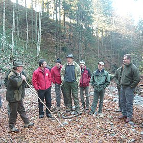 WALDHOANGART in Fieberbrunn