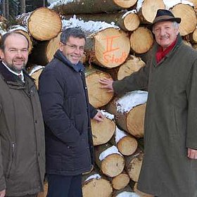 "Schutzwald-Pflege bringt Sicherheit und Holz!"