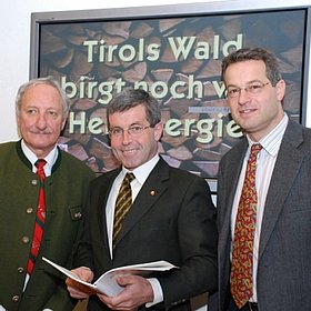 Tirols Wald birgt noch viel Holzenergie!