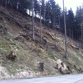 Waldbau: Ingenieurbiologische Verbauungen