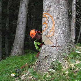 Facharbeiterprüfungen in Rotholz