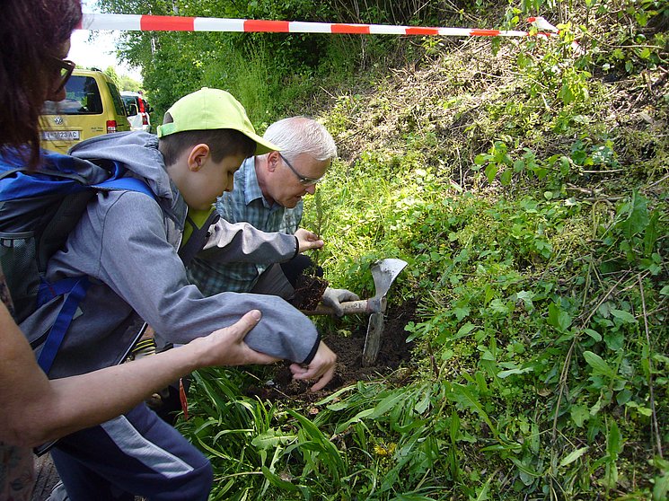 Waldprojekt Erde