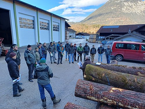 Kostenlose Vermarktung von Wertholz aus dem Tiroler Gebirgswald in der LLA Rotholz