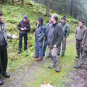 WALDHOANGART in Gries im Sellrain