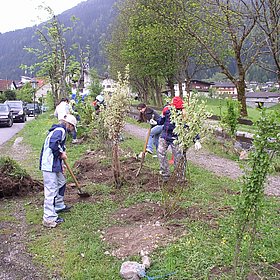 Pflanzung durch Volksschüler