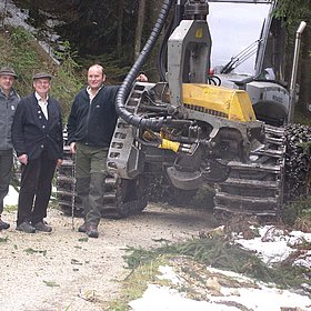 Durchforstung eine wichtige Maßnahme!