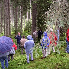 Agrargemeinschaftsmitglieder besichtigen "ihren" Wald