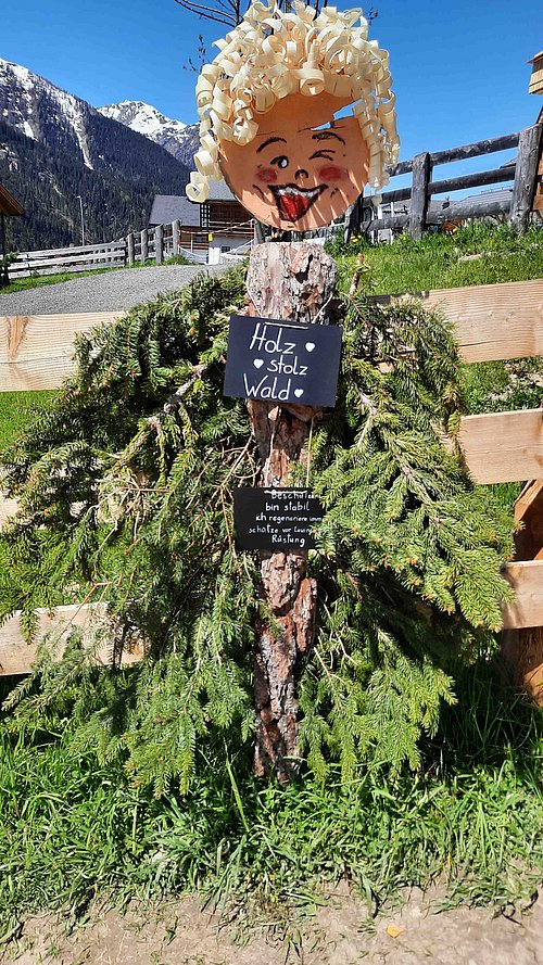 Holz - stolz - Wald