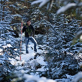 Der Wald ist unser größtes Anliegen