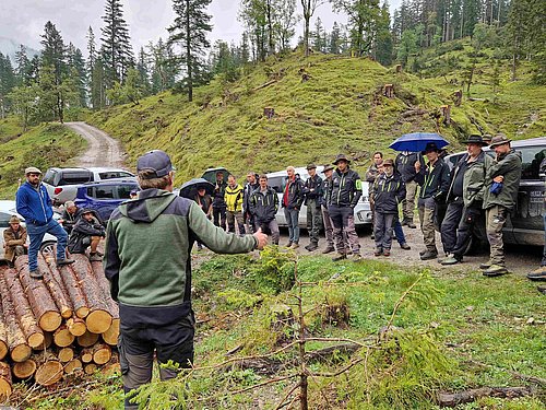 Präsentation des Projekts Wald-Weide-Trennung durch Waldaufseher Joachim Wagner