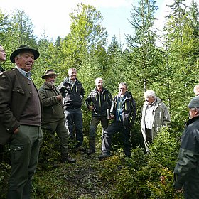 Erhebungen zum Zustand der Waldverjüngungen im Tiroler Wald