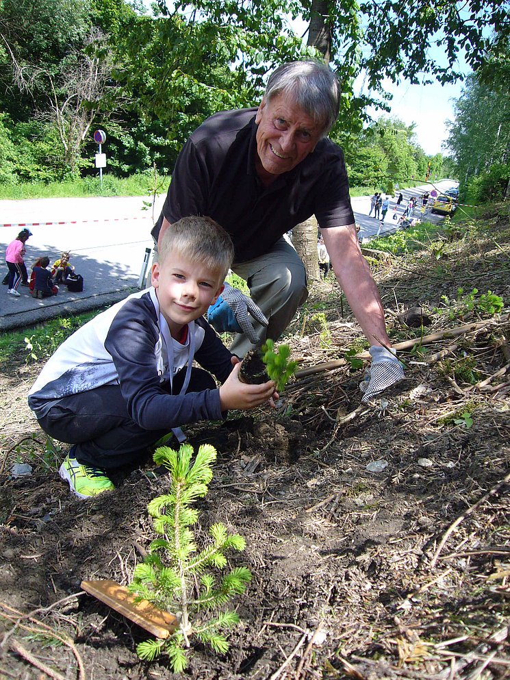 Waldprojekt Erde