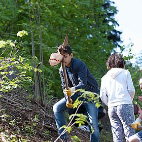 Eine neue Chance für den Wald