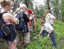 Schwazer Schutzwald ist voller Erlebnisse