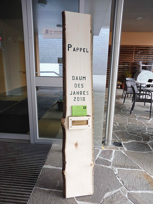 Die Pappel - Baum des Jahres 2018