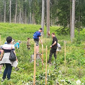 Volksschule Obertilliach pflanzt 100 Bäume