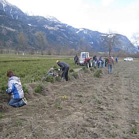 Beginn der Pflanzzeit in Tirols Wälder