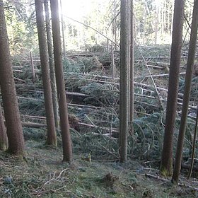 Sturm Emma hat zugeschlagen