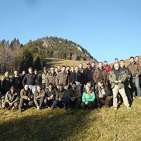 WALDHOANGART in Bruck am Ziller