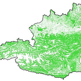 Erste hochgenaue Waldkarte der österreichischen Waldinventur