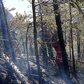 Waldbrand in Zirl