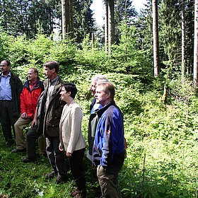 Bruckerwald: Einigkeit zwischen Forst und Jagd zeigt Erfolge