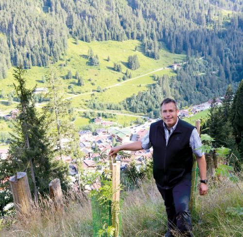 Wirksamer Schutz der Jungpflanzen vor Fegeschäden Foto: Gerda Gratz